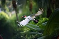 exotic bird in flight, soaring over tropical garden