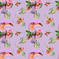 Exotic bird on lilac background Royalty Free Stock Photo