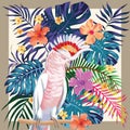 Parrot abstract color tropical pattern frame