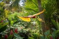 exotic bird taking flight, soaring above lush greenery in tropical garden