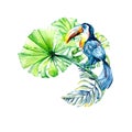 Toucan with tropical leaves watercolor illustration on white background Royalty Free Stock Photo