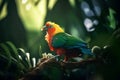 Exotic bird in tropical forest, bright animal in jungle close-up, generative AI