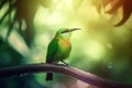 Exotic bird in tropical forest, bright animal in jungle close-up, generative AI