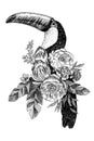 Exotic bird tukan with blooming flowers. Isolated decorative element. Botanical concept. Tropical concept. flower