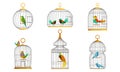 Exotic Birds in Cages Collection, Cute Colorful Birdies Vector Illustration on White Background Royalty Free Stock Photo