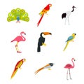 Exotic birds icon set, flat style Royalty Free Stock Photo