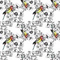 Exotic birds parrot with flowers colorful seamless pattern. Watercolor illustration. Royalty Free Stock Photo