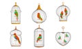 Exotic Birds and Parrots in Cages Collection, Cute Colorful Birdies Vector Illustration on White Background Royalty Free Stock Photo