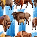 Exotic bison wild animal pattern in a watercolor style.