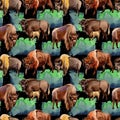 Exotic bison wild animal pattern in a watercolor style.