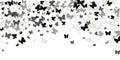 Exotic black butterflies isolated vector wallpaper.