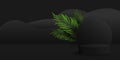 Exotic black pedestal with palm leaf to display your product. 3D vector cylinder stage for presentation. Abstract shapes.