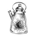 Sketch hand drawn Teapot. Blooming green tea with flowers in glass teapot. Exotic Blooming tea