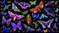 Exotic butterflies and moths isolated on a black