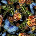 Exotic butterflies wild insect in a watercolor style. Seamless background pattern.