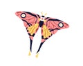 Exotic butterfly flying. Beautiful tropical moth with colorful wings. Summer insect with tail and antennae. Fancy fauna