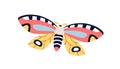 Exotic butterfly flying. Tropical moth with beautiful colorful wings. Spring and summer multicolored insect. Abstract