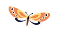 Exotic butterfly flying. Tropical moth with beautiful colorful wings. Summer insect flies. Abstract fauna species, top
