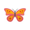 Exotic butterfly icon flat isolated vector