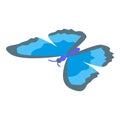 Exotic butterfly icon, isometric style