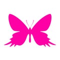 Exotic butterfly vector icon