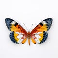 Exotic butterfly on white background