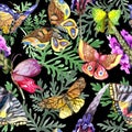 Exotic butterfly wild insect pattern in a watercolor style.