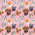 Exotic cat and dog wild animal pattern in a watercolor style. Royalty Free Stock Photo