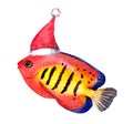 Exotic christmas fish in red santa's hat. Watercolor