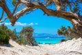 Exotic Chryssi island at the south of Crete, with the amazing Golden Beach, Greece Royalty Free Stock Photo