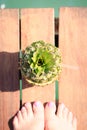 Exotic cocktail in the pineapple with girls foots. Sea pier. Co Royalty Free Stock Photo