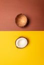 Exotic composition of fresh two pieces of coconut on a background Royalty Free Stock Photo