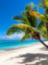 Tropical white sand beach with coco palms and the turquoise sea on tropical island. Royalty Free Stock Photo