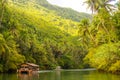 Exotic cruise boat with tourists on a jungle river Loboc, Bohol, Philippines Royalty Free Stock Photo