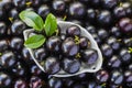 Exotic and delicious Jaboticaba fruits, a fruit of Amazonian origin Royalty Free Stock Photo