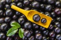 Exotic and delicious Jaboticaba fruits, a fruit of Amazonian origin Royalty Free Stock Photo
