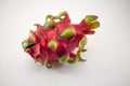Exotic Dragon fruit on white background Royalty Free Stock Photo