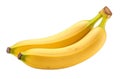 A pair of bananas on a white background