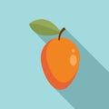 Exotic eco mango icon, flat style