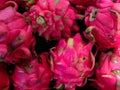 Exotic Elegance: The Allure of Dragonfruits' Vibrant Beauty