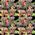 Exotic elephant wild animal pattern in a watercolor style.