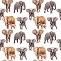 Exotic elephant wild animal pattern in a watercolor style.