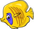 Exotic fish cartoon character