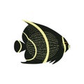Exotic fish cartoon illustration, isolated on white background.