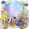 Exotic Fish, coral reef Royalty Free Stock Photo