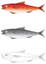 Exotic fish vector illustration Royalty Free Stock Photo