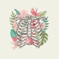 Exotic florals vintage rib cage illustration. Royalty Free Stock Photo