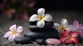 Exotic flowers with black smooth stones, background for spa and massage. Generative Ai Royalty Free Stock Photo