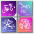 Exotic Flowers Collection: Poinciana, belladonna, fuchsia and orchid Card Set.