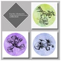 Exotic Flowers Collection: Poinciana, fuchsia and orchid cards set